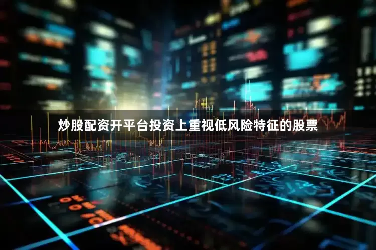 炒股配资开平台投资上重视低风险特征的股票