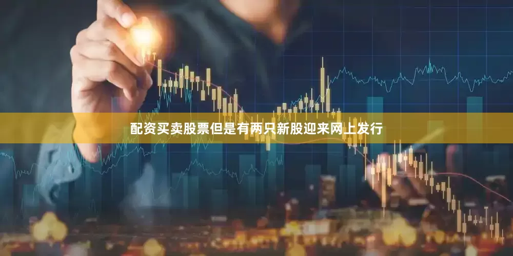 配资买卖股票但是有两只新股迎来网上发行