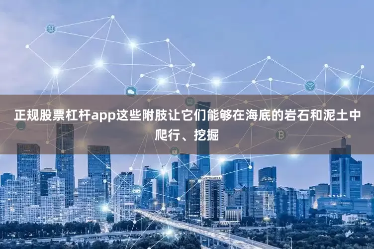 正规股票杠杆app这些附肢让它们能够在海底的岩石和泥土中爬行、挖掘