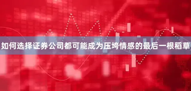 如何选择证券公司都可能成为压垮情感的最后一根稻草